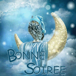 Gif animé bonne soirée hiboux