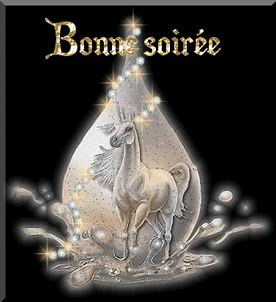 Gif animé bonne soirée licorne