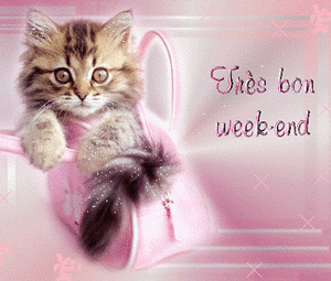 Gif animé bon week-end chatons