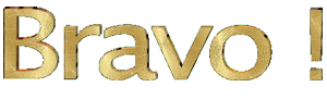 bravo animation