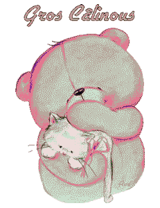 Gif gros câlin ours chat
