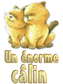 Gif un enorme calin