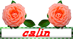 Gif câlins roses
