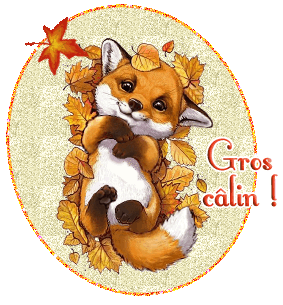 Gif gros câlins renard