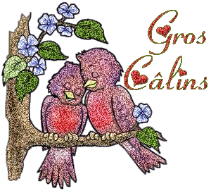 Gif gros câlins oiseau