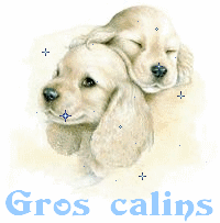 Gif gros câlins chiens