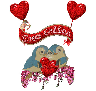 Gif gros câlins oiseaux