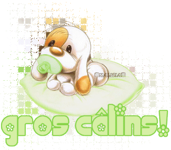 Gif gros câlins petit chien