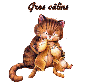 Gif gros câlins chats