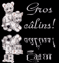 Gif gros câlins tigres