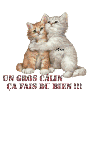 Gif un gros calin ça fait du bien