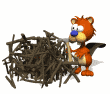 image gif de castor
