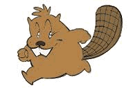 image animée de castor