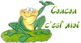 Gif animé coucou c'est moi grenouille