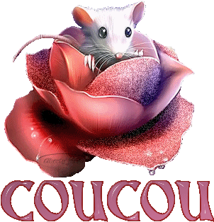 Gif animé coucou souris