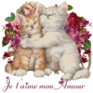 Gif je t'aime mon amour chats