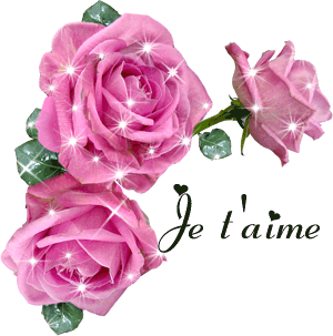 Gif animé je t'aime reflets