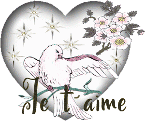 Gif animé je t'aime colombe