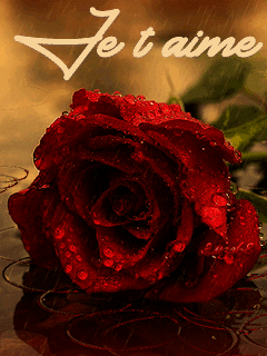 Gif animé je t'aime rose et pluie