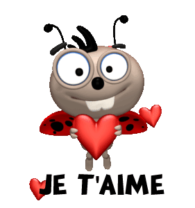 gif animé je t'aime coccinelle