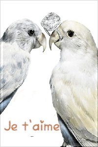 gif animé je t'aime papillon