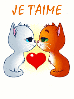 Gif animé je t'aime chats