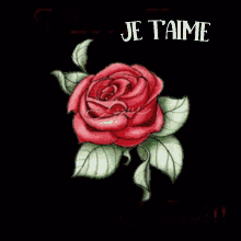 Gif animé je t'aime coeur bisou