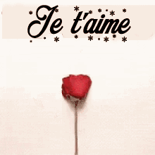 Gif animé je t'aime