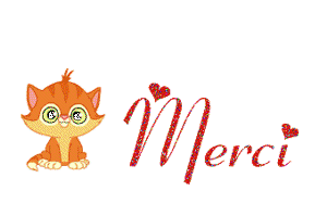 Gif animé merci chat