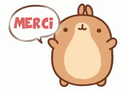 gif animé merci lapin