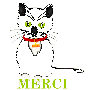 Gif animé merci chat