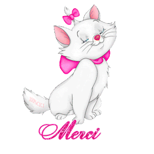 Gif animé merci chat