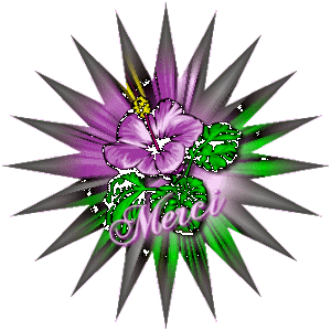 Gif animé merci violettes