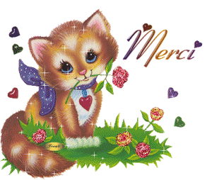 gif animé merci chat