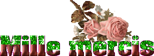Gif animé mille merci