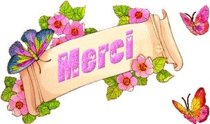 MERCI POUR VOS AIDES SUR BLOGGER :