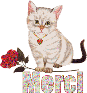 Gif animé merci chat
