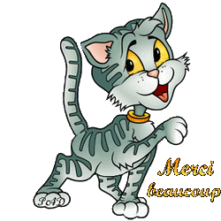 Gif animé merci beaucoup chat
