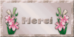 Gif animé merci carte