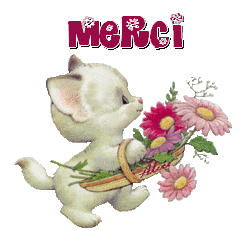 Gif animé merci chat