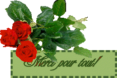 Gif animé merci pour tout