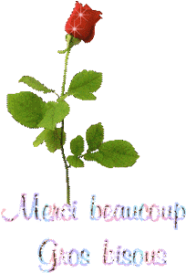 gif animé merci beaucoup gros bisous
