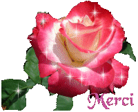 gif animé merci rose