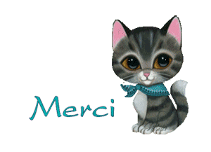 Gif animé merci chat