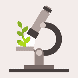 Gifs animés de microscopes