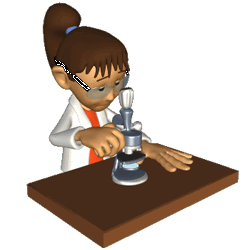 Gifs animés de microscopes