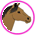 Gifs Chevaux