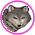 Gifs Loups