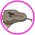 Gifs Dragons de komodo