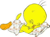 Gifs animés titi dort